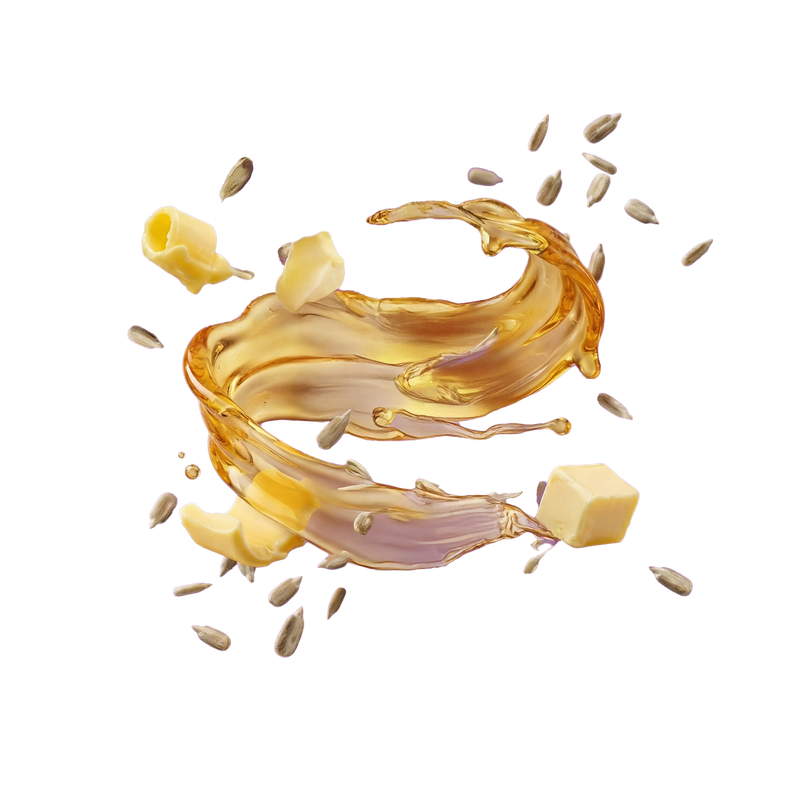 PROTEIN BAR